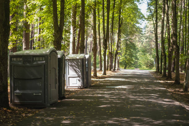 Best Porta potty rental for festivals  in Flowing Wells, AZ